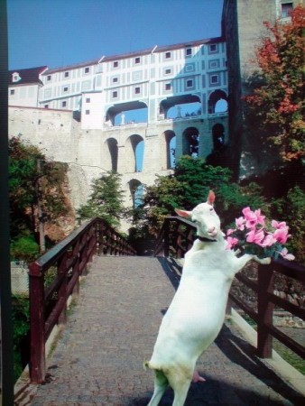 momentka z Českého Krumlova